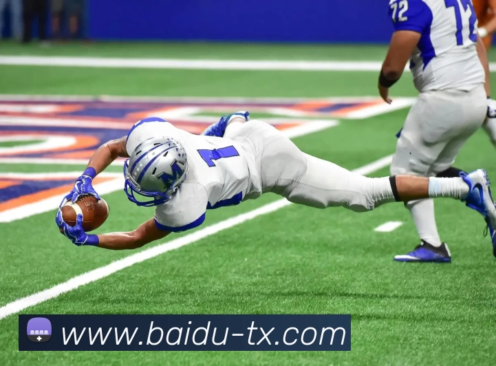 天行体育平台生态图